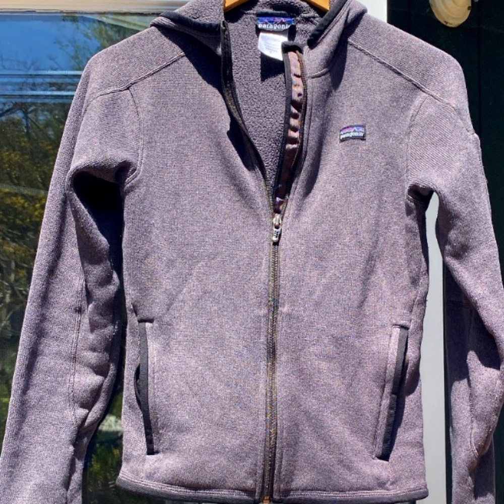 Patagonia Sweater Zip Hooded